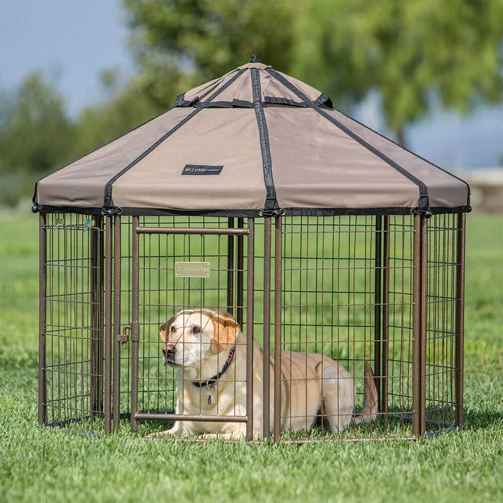 Advantek Dog Kennel Pet Gazebo, 4'