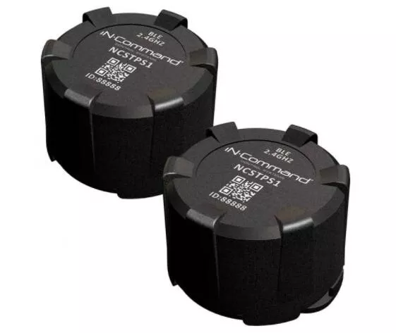ASA Electronics Bluetooth Tire Pressure Monitoring Sensors - 2 Sensors• NCTP1002