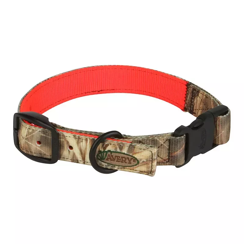 Avery Sporting Dog’s Reversible Collar