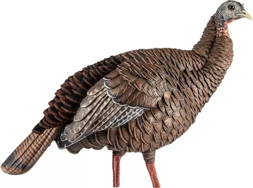 Avian-X HDR Hen Decoy