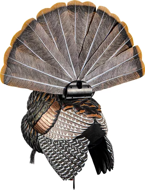 Avian-X HDR Strutter Decoy