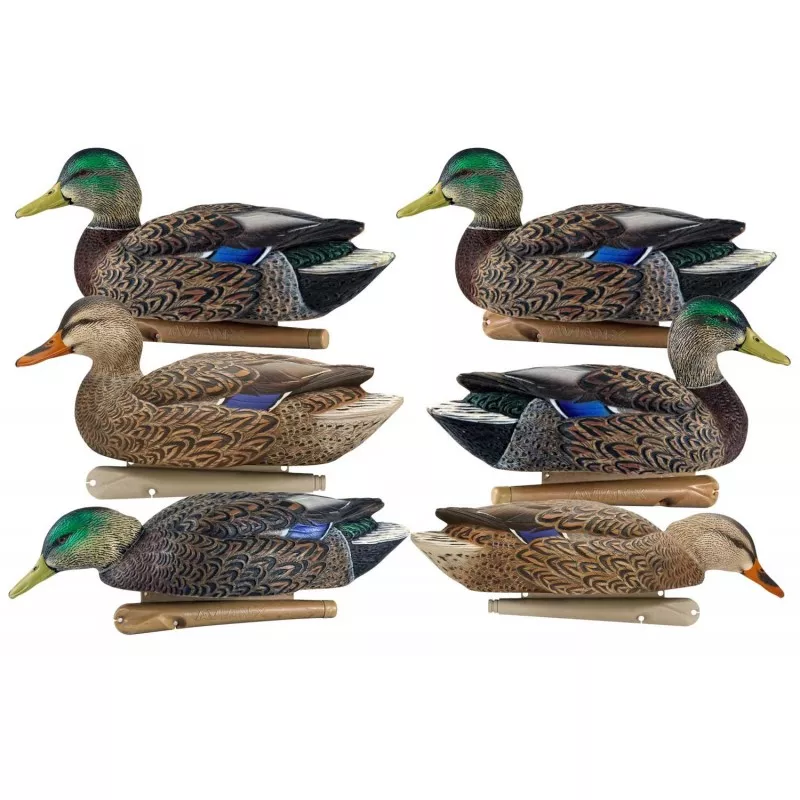 AVIAN-X Topflight early season mallard decoys