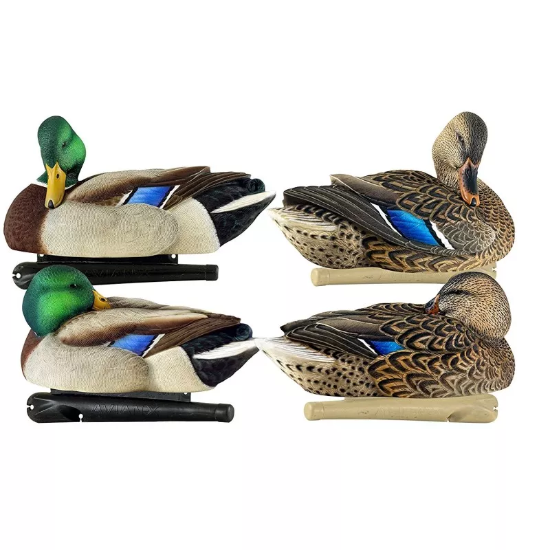 AVIAN-X Topflight preener/sleeper mallard floating decoys