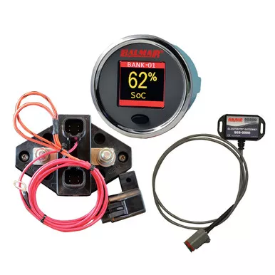 Balmar SG210 Battery Monitor Kit with Display