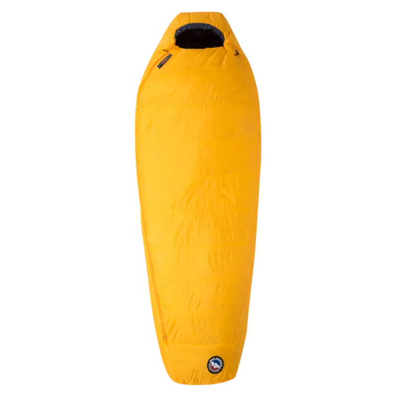 BIG AGNES Lost Dog