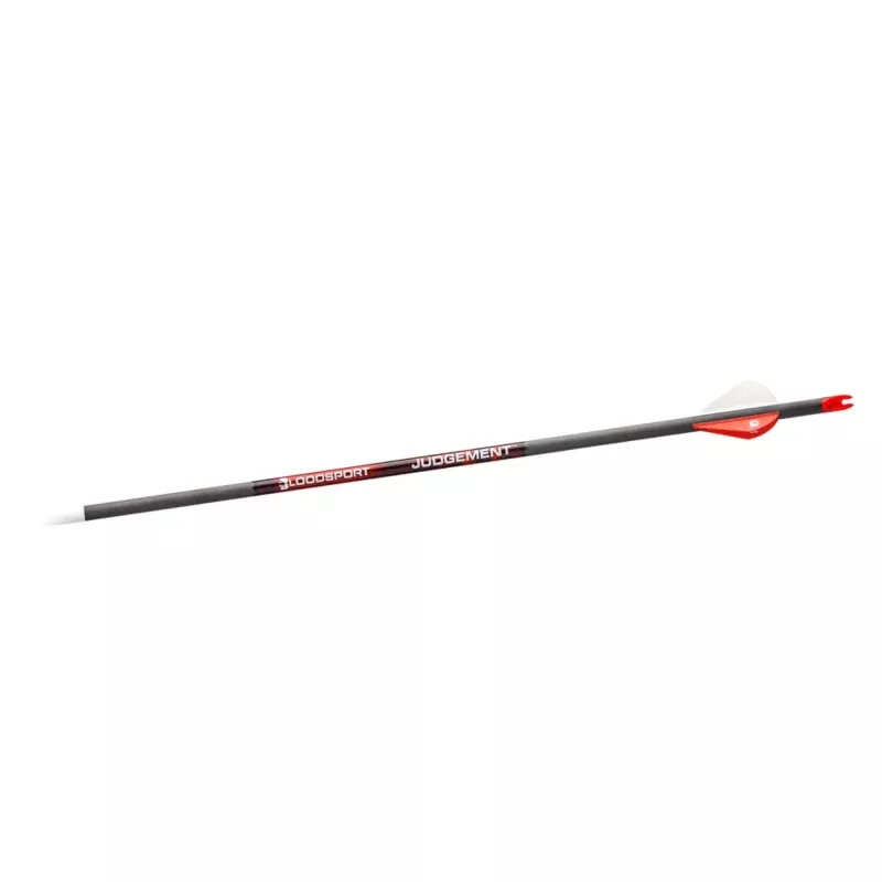Bloodsport Judgement Arrow 500 Spine 6 Pack
