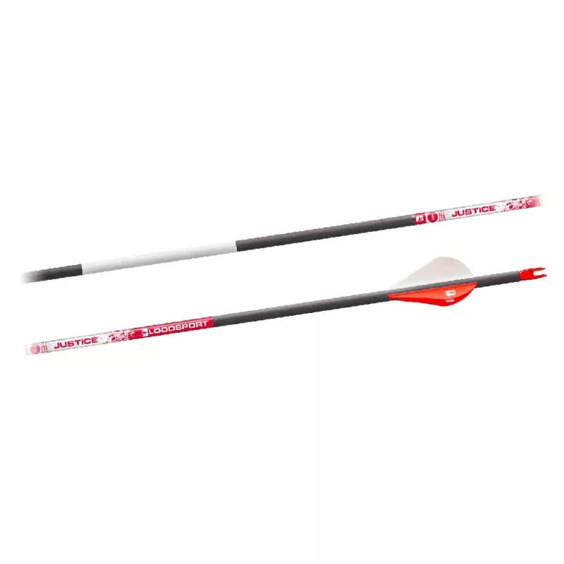 Bloodsport Justice Arrow 300 Spine 6 Pack