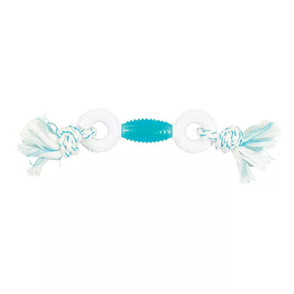 Canine Clean Peppermint Dumbbell Dog Toy