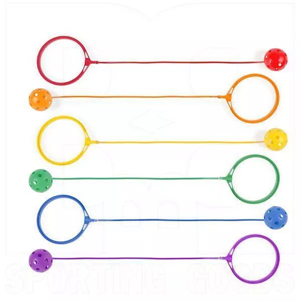 Champion Swing Ball Set