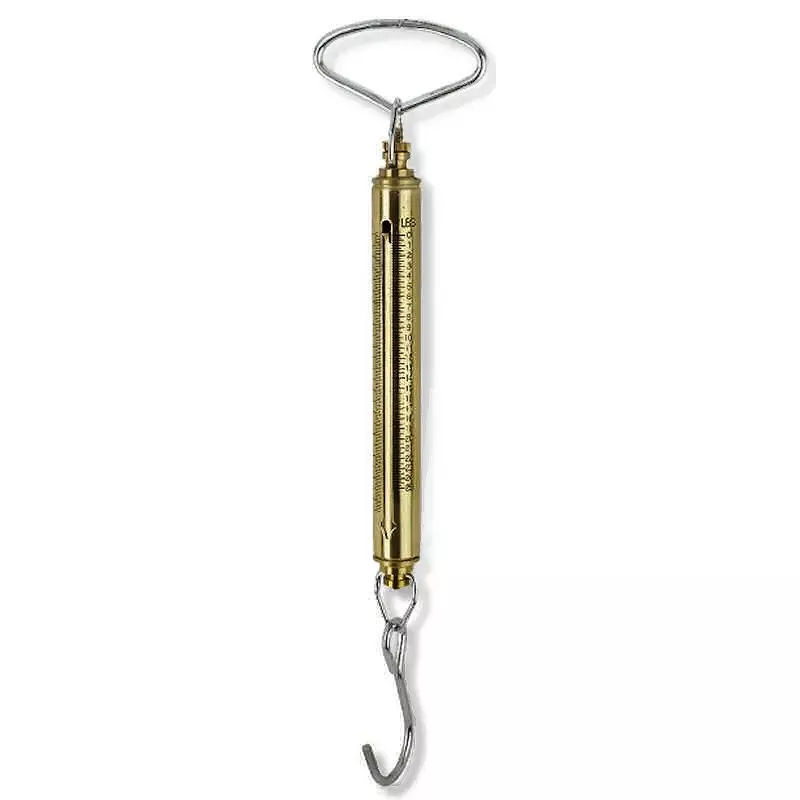 Chatillon IN Series Brass Linear Scale
