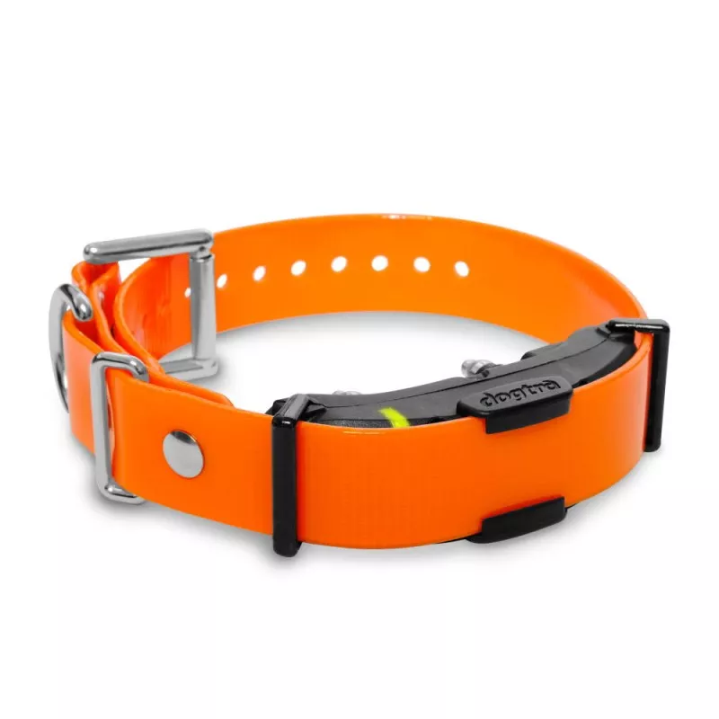 DOGTRA ARC Additional Receiver