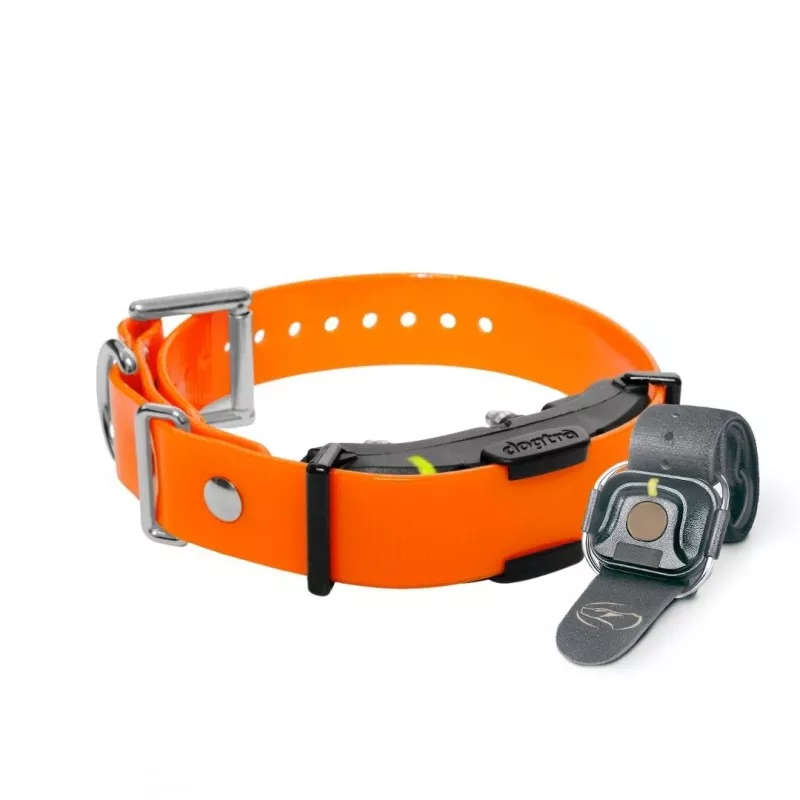 DOGTRA ARC Handsfree Plus Additional Receiver
