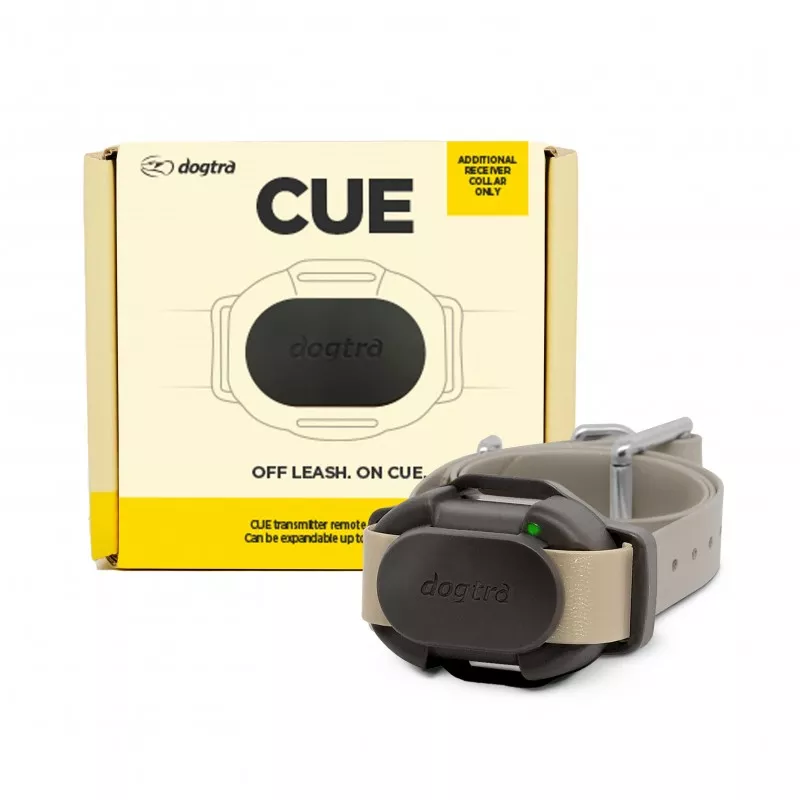 DOGTRA CUE Additional Receiver
