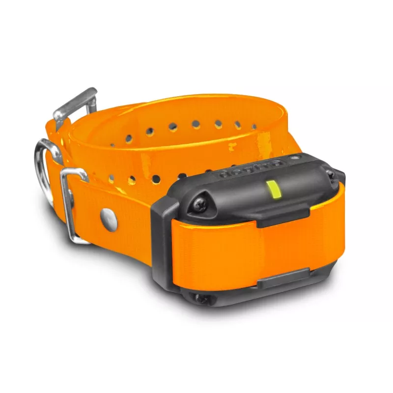 DOGTRA EDGE RT Additional Receiver