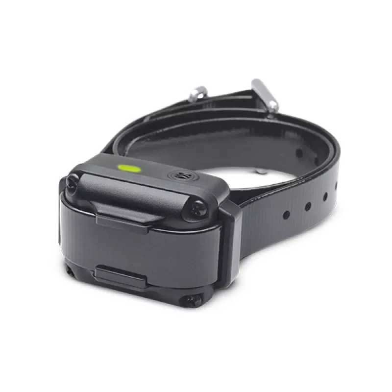 DOGTRA iQ Vibe