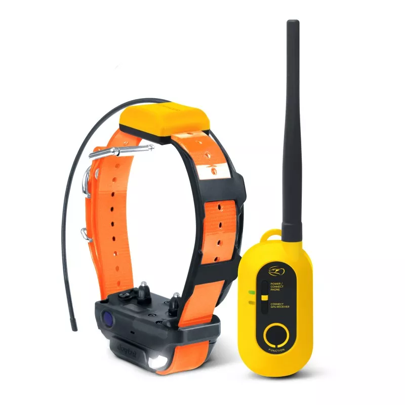 DOGTRA Pathfinder2 with GPS