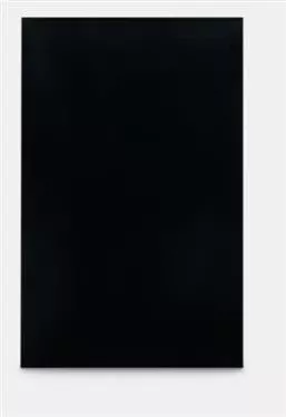 Dometic Upper and Lower Door Panels, Black• 3106863.305C