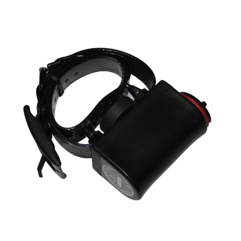 DT SYSTEMS Big Dog No Bark Trainer Dog Collar, Black