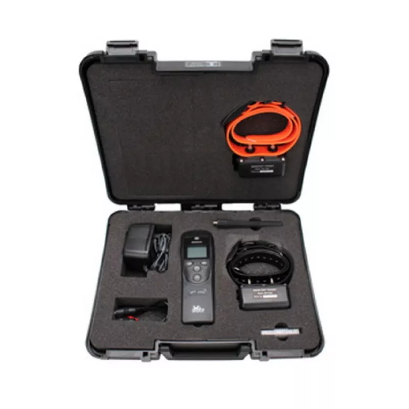 DT SYSTEMS SPT 2422 - 2 Dog System
