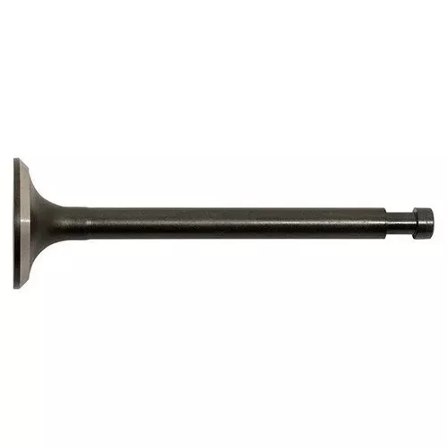 Exhaust Valve Club Car84-91