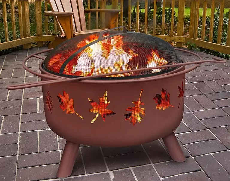 Georgia Clay Tree Leaves Outdoor Firepit
