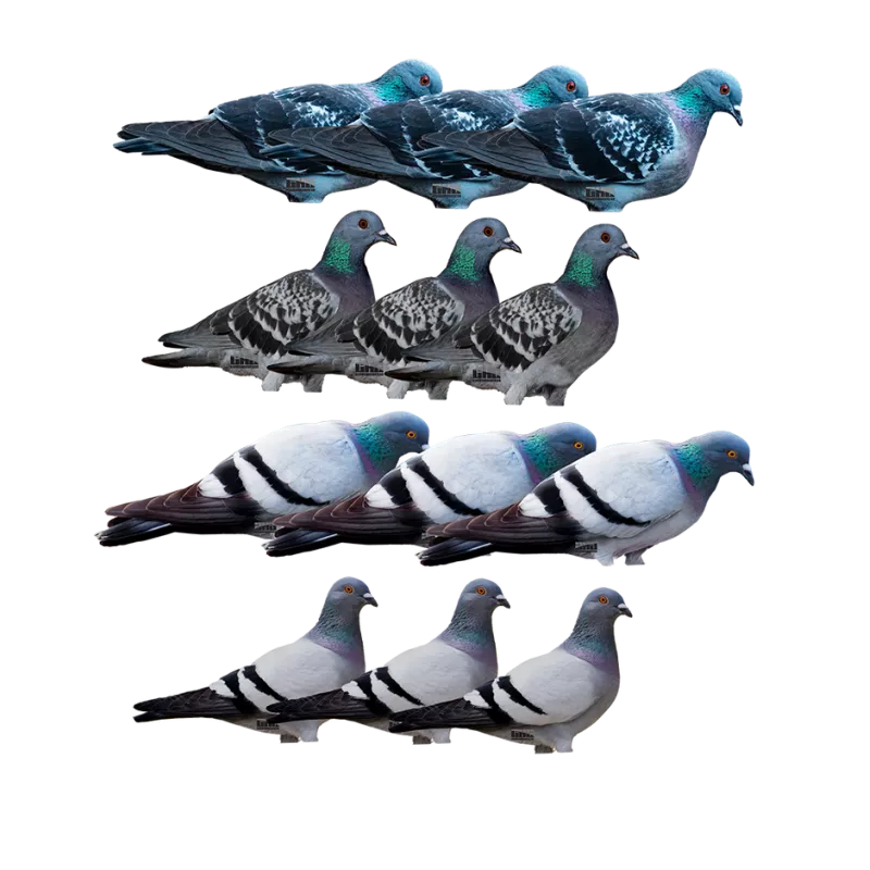 GHG DECOY SYSTEMS Pro-Grade Silhouette Decoys - Pigeon