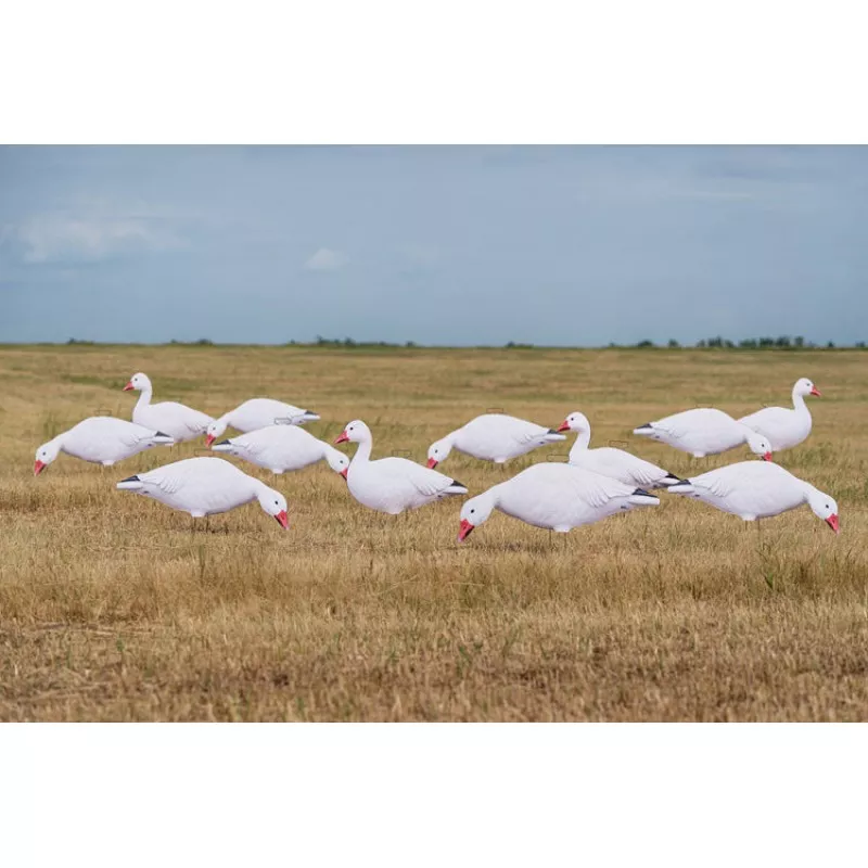 GHG DECOY SYSTEMS Pro-Grade Silhouette Snow Goose Decoys