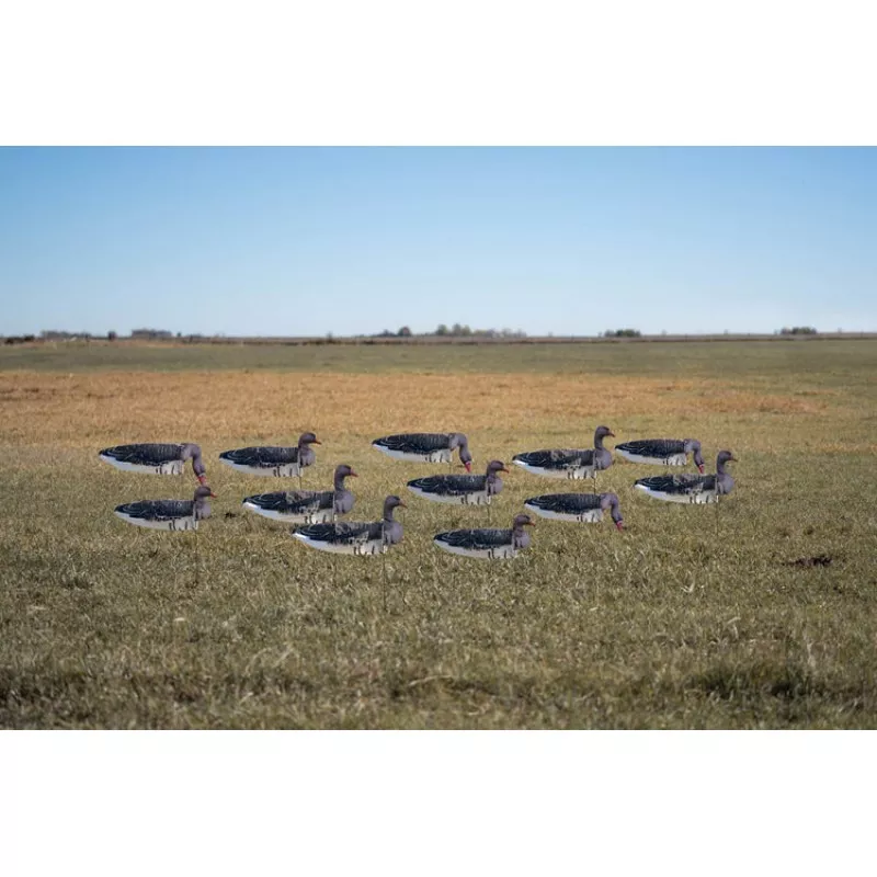 GHG DECOY SYSTEMS Pro-Grade Specklebelly Goose Sock Decoys