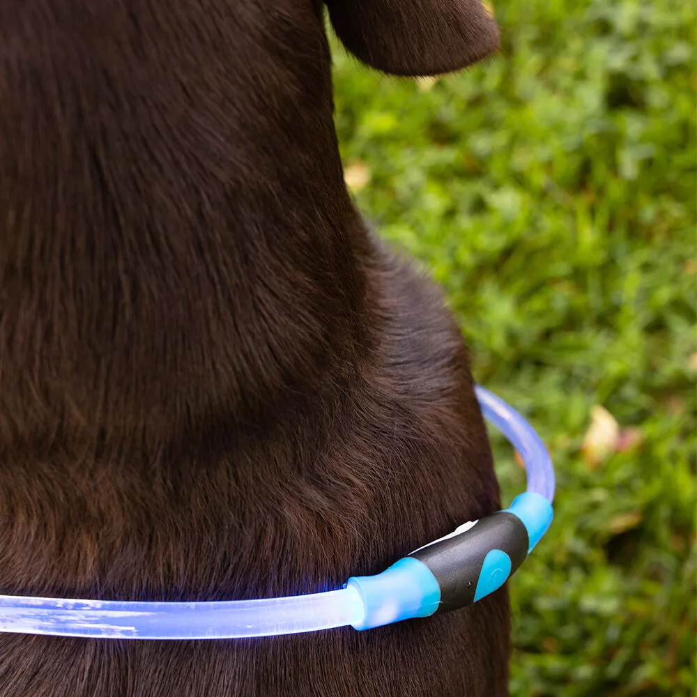 Glowing Rechargeable LED Pet Collar, Blue