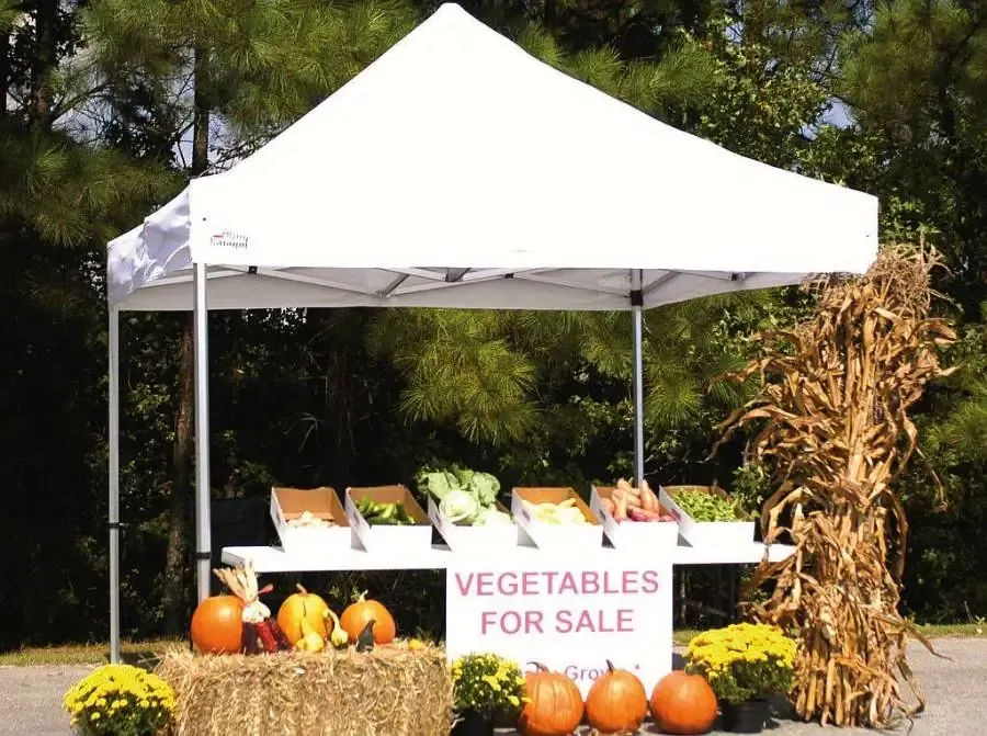 Goliath 10ft x 10ft Aluminum Frame Shade Canopy
