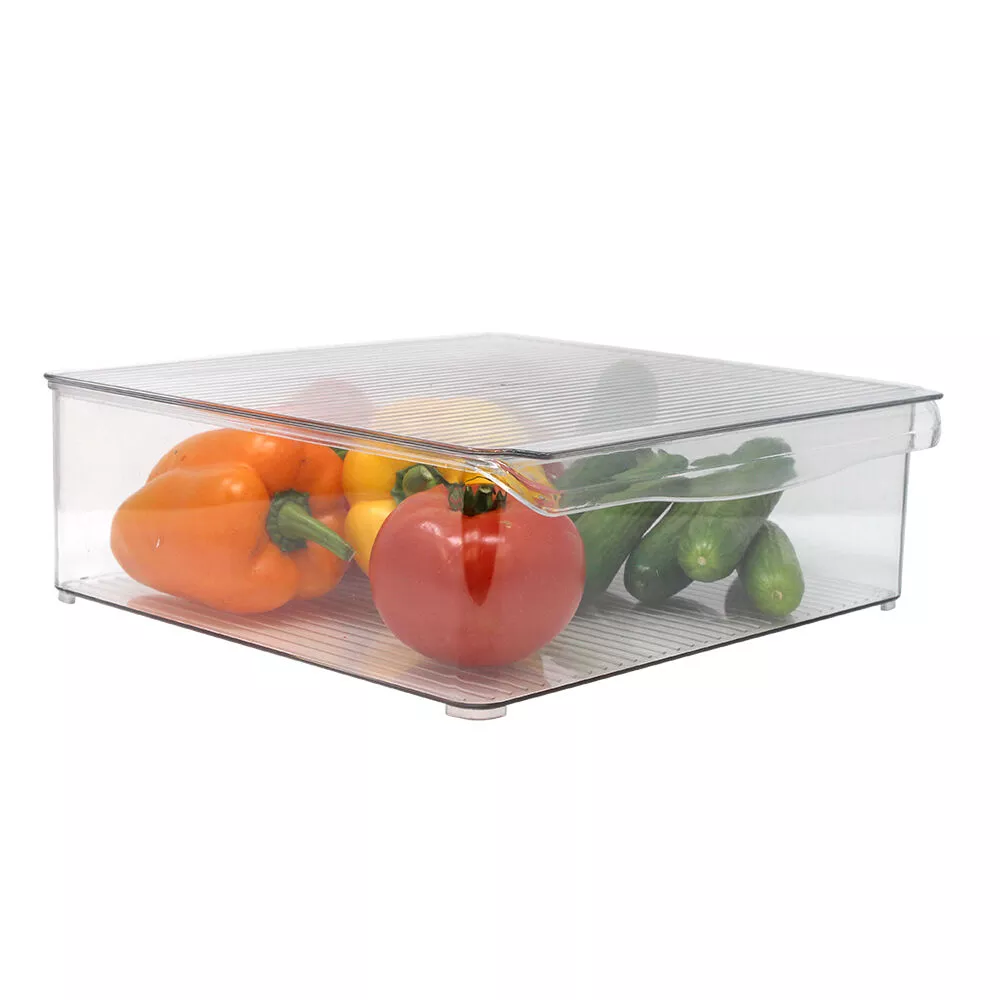 Gourmet Kitchen Refrigerator Bin with Lid