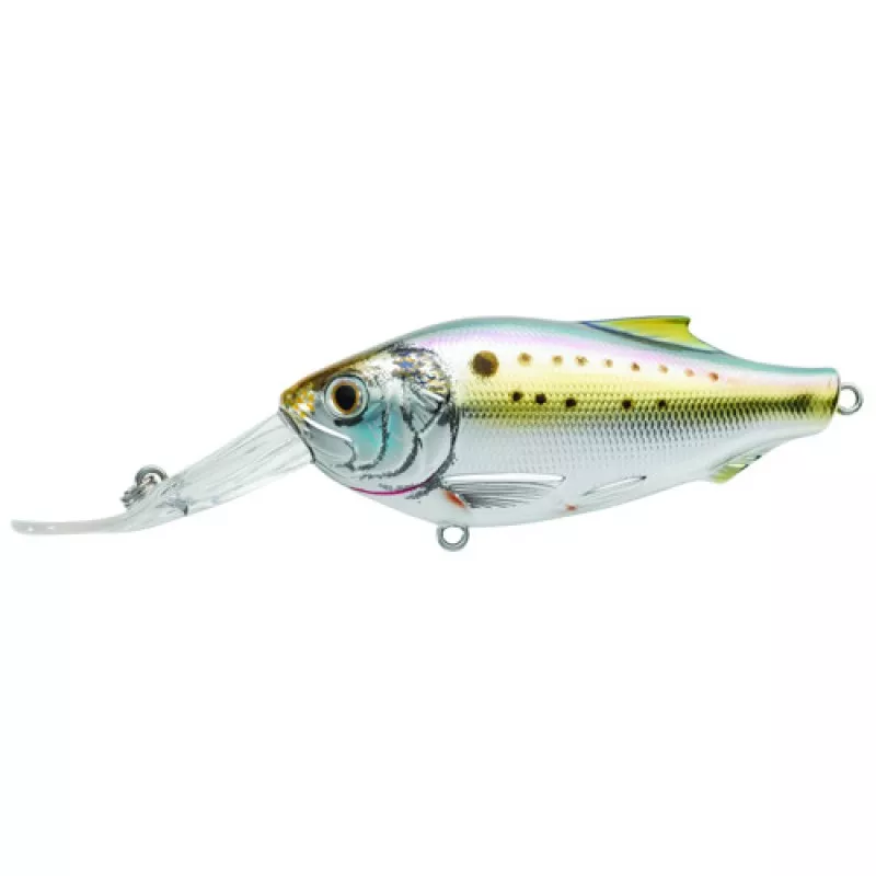 LIVETARGET LURES Menhaden Crankbait,natural/metallic,3/0