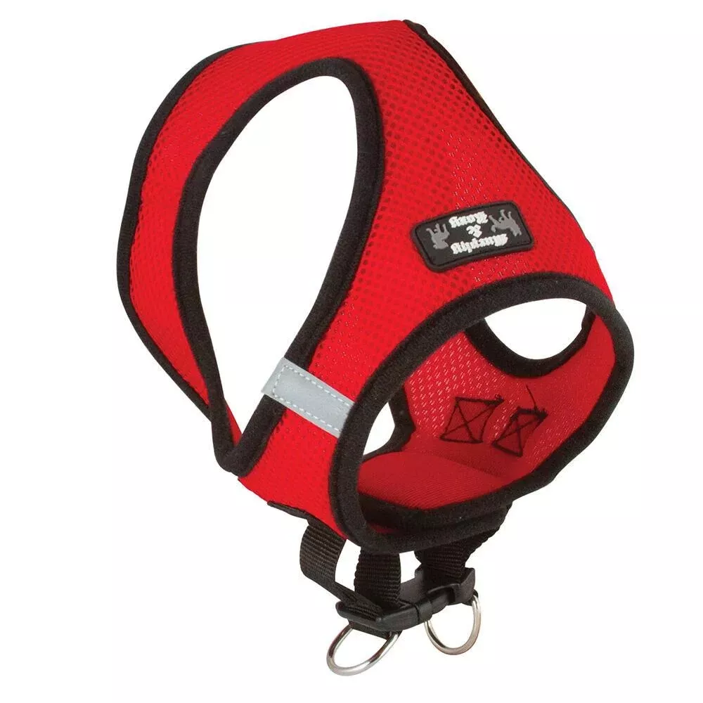 Medium Red Harness