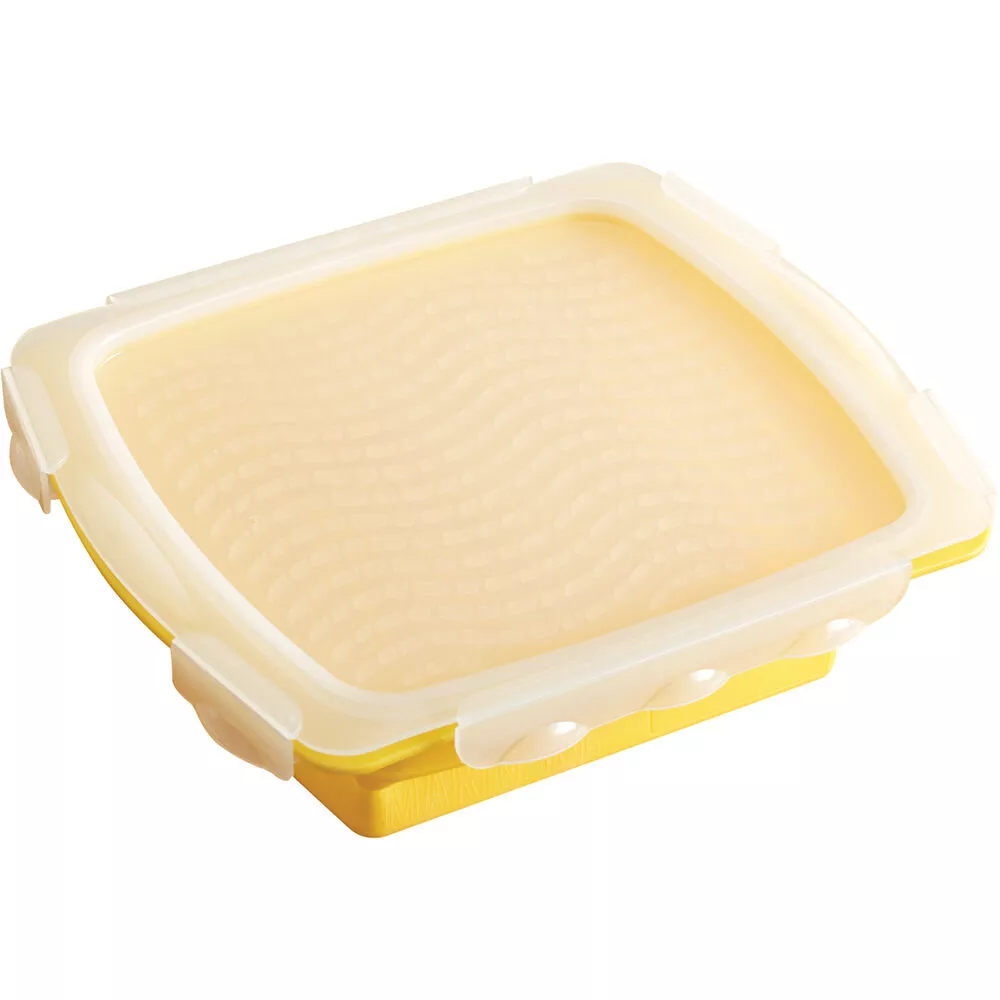Mini Collapsible Marinade Tray