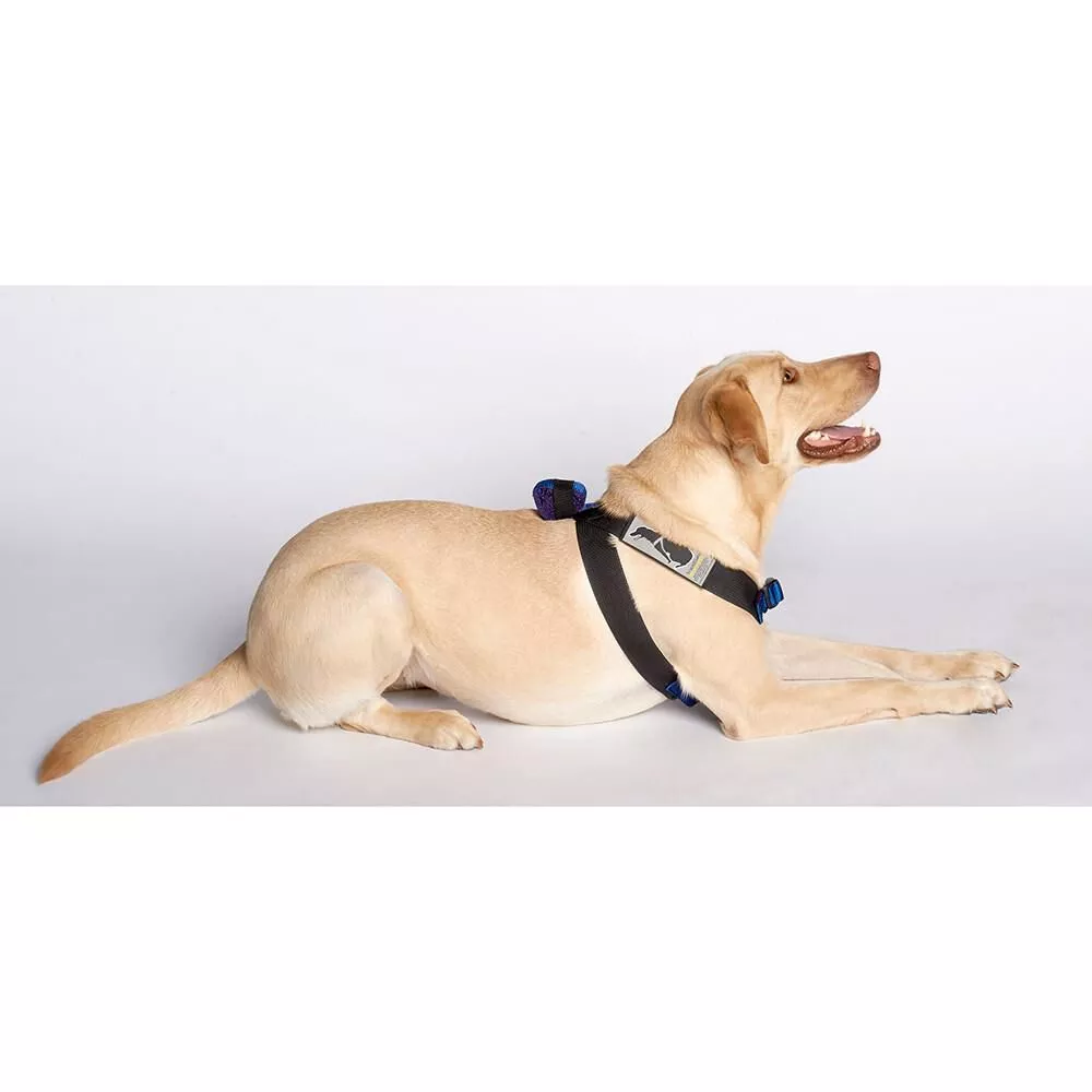 Pink Canine Travel Safe Harness, Large