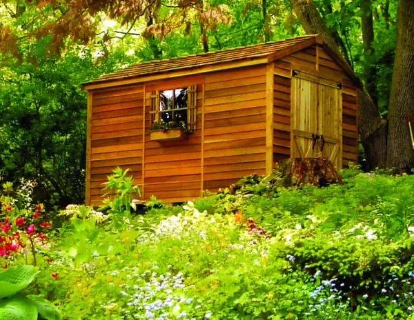 Rancher Wood Storage Shed - 8ft x 16ft