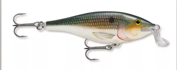 Rapala Shallow Shad Rap 05