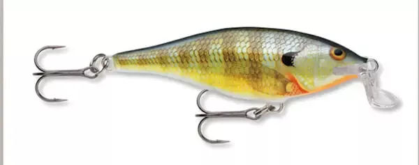 Rapala Shallow Shad Rap 07