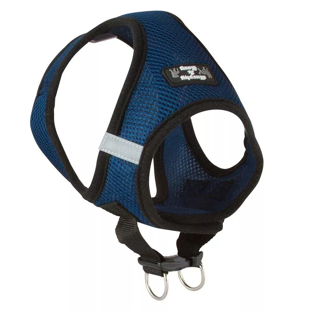 Small Blue Harness
