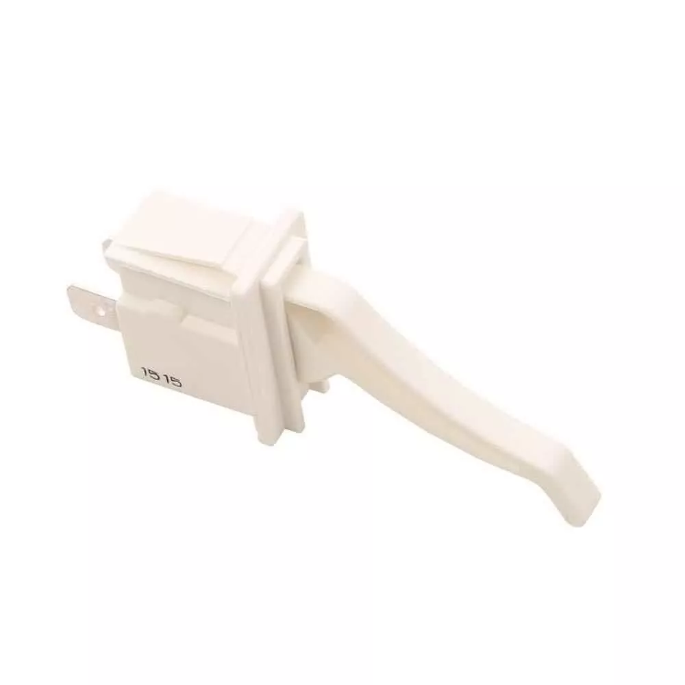 Switch, Electric Light