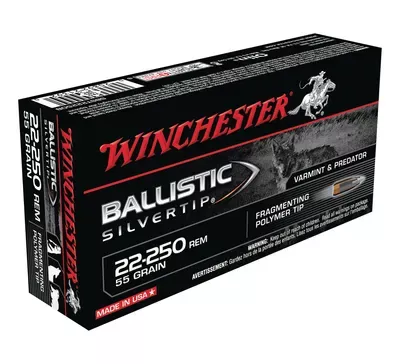 Winchester Ballistic Silvertip .22-250 Rem 55 Gr